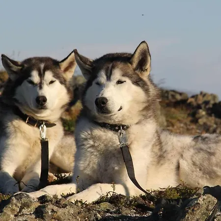 Yggdrasil Farmhotel Retreat, & Yoga Ξενοδοχείο 3*