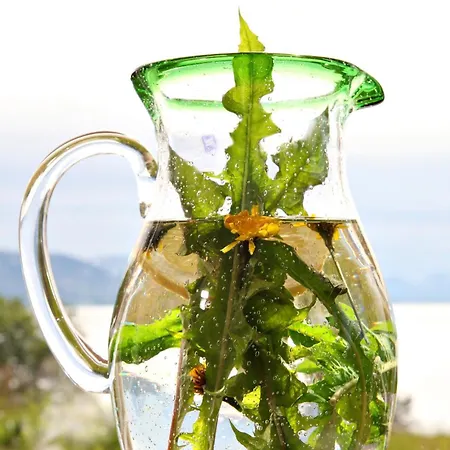 Yggdrasil Farmhotel Retreat, & Yoga Ξενοδοχείο Straumsbukta