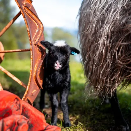 Ξενοδοχείο Yggdrasil Farmhotel Retreat, & Yoga Straumsbukta