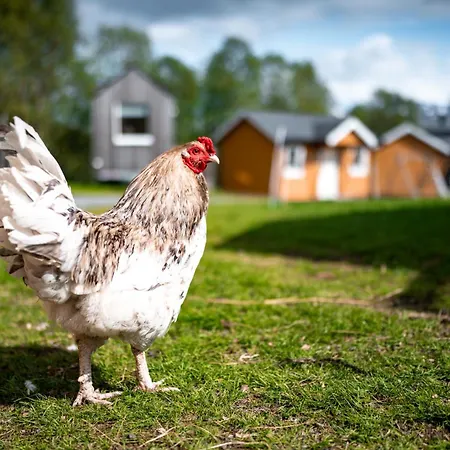 Yggdrasil Farmhotel Retreat, & Yoga Ξενοδοχείο Straumsbukta