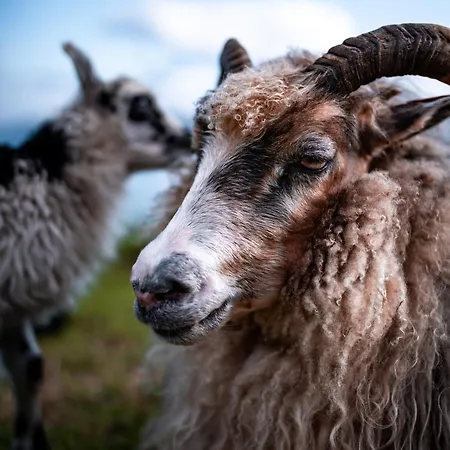 Yggdrasil Farmhotel Retreat, & Yoga 3*