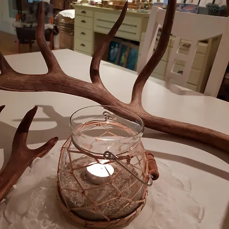 Ξενοδοχείο Yggdrasil Farmhotel Retreat, & Yoga Straumsbukta