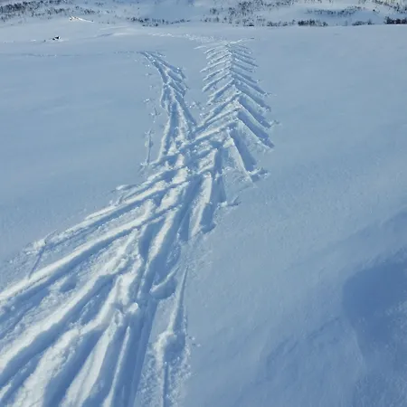 Yggdrasil Farmhotel Retreat, & Yoga Ξενοδοχείο Straumsbukta