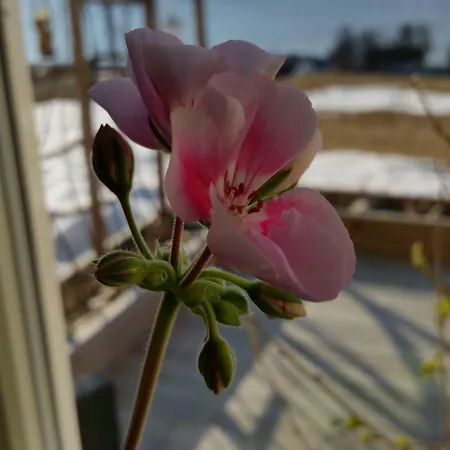 Yggdrasil Farmhotel Retreat, & Yoga Ξενοδοχείο 3*