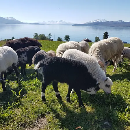 Ξενοδοχείο Yggdrasil Farmhotel Retreat, & Yoga