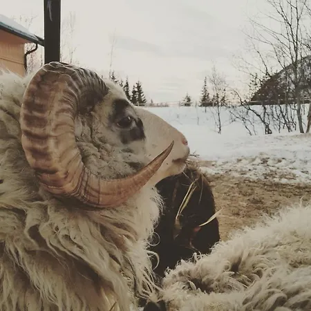 Yggdrasil Farmhotel Retreat, & Yoga