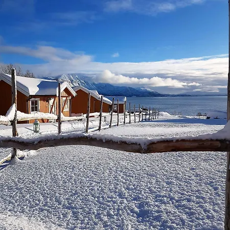 Yggdrasil Farmhotel Retreat, & Yoga Straumsbukta