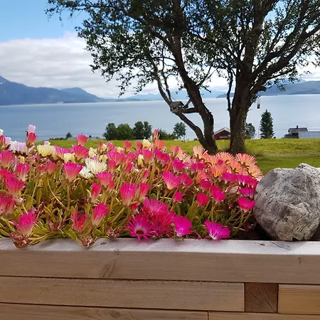 Yggdrasil Farmhotel Retreat, & Yoga 3* Straumsbukta