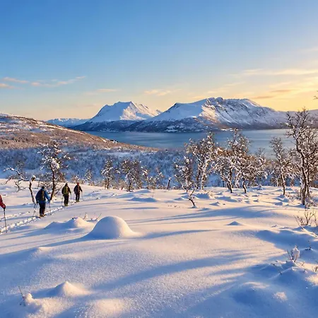Yggdrasil Farmhotel Retreat, & Yoga 3* Straumsbukta