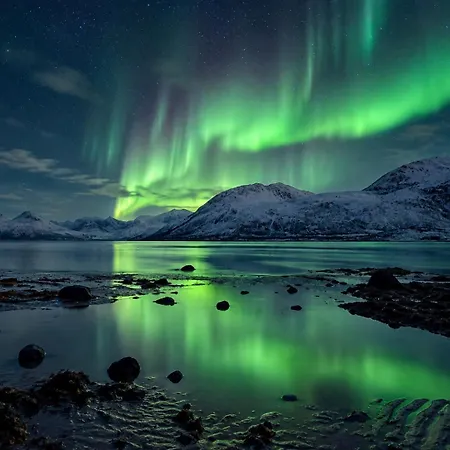 Yggdrasil Farmhotel Retreat, & Yoga 3* Straumsbukta