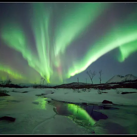 Отель Yggdrasil Farmhotel Retreat, & Yoga Straumsbukta