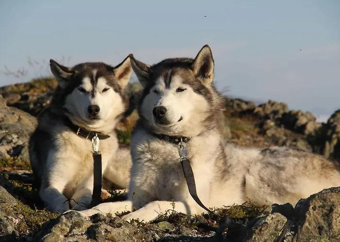 Yggdrasil Farmhotel Retreat, & Yoga Hotel 3*