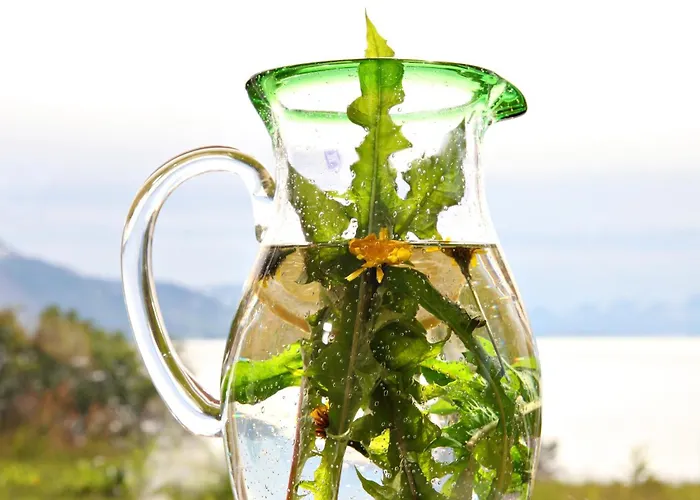 Yggdrasil Farmhotel Retreat, & Yoga Hotel Straumsbukta