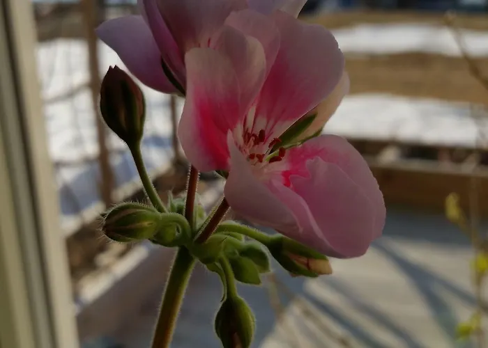 Yggdrasil Farmhotel Retreat, & Yoga Hotel 3*