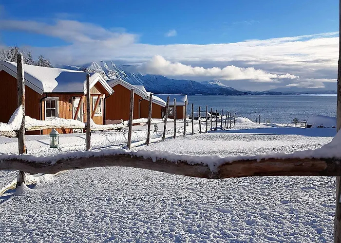 Yggdrasil Farmhotel Retreat, & Yoga Straumsbukta