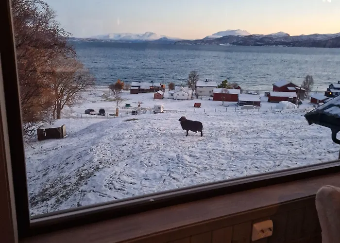 Yggdrasil Farmhotel Retreat, & Yoga 3* Straumsbukta