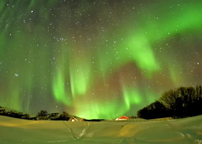 Hotel Yggdrasil Farmhotel Retreat, & Yoga