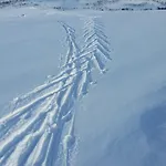 Yggdrasil Farmhotel Retreat, & Yoga Отель Straumsbukta