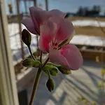 Yggdrasil Farmhotel Retreat, & Yoga Отель 3*