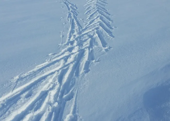 Yggdrasil Farmhotel Retreat, & Yoga Hotell Straumsbukta