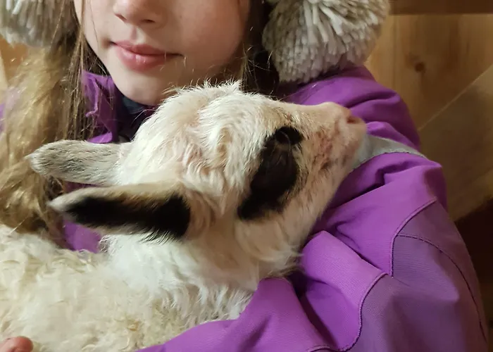 Yggdrasil Farmhotel Retreat, & Yoga Hotell Straumsbukta